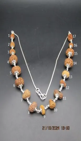 Aishwarya Sarva Siddha Rudraksha Mala