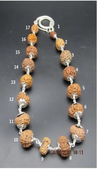 Aishwarya Sarva Siddha Rudraksha Mala