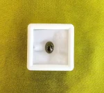 Cat’s Eye (Lahasunia)