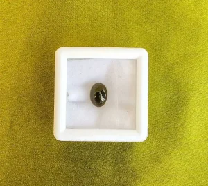 Cat’s Eye (Lahasunia)