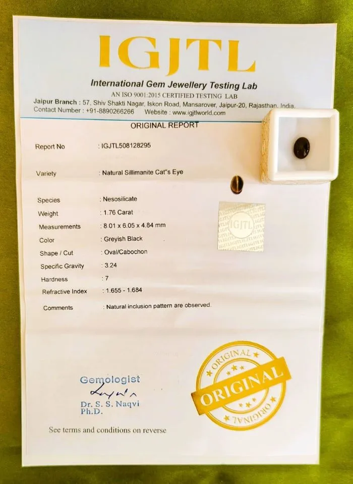Cat’s Eye Certificate