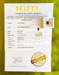 Cat’s Eye Certificate