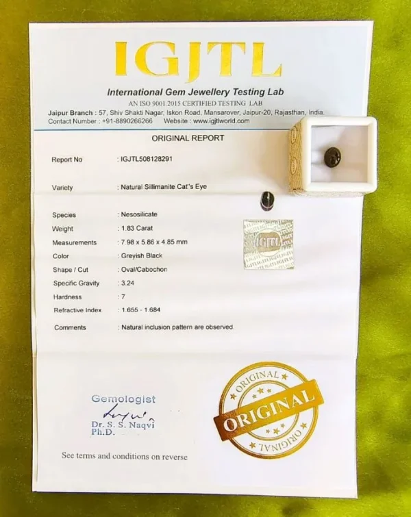 Cat’s Eye Certificate