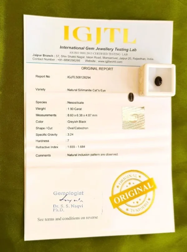 Cat’s Eye Certificate