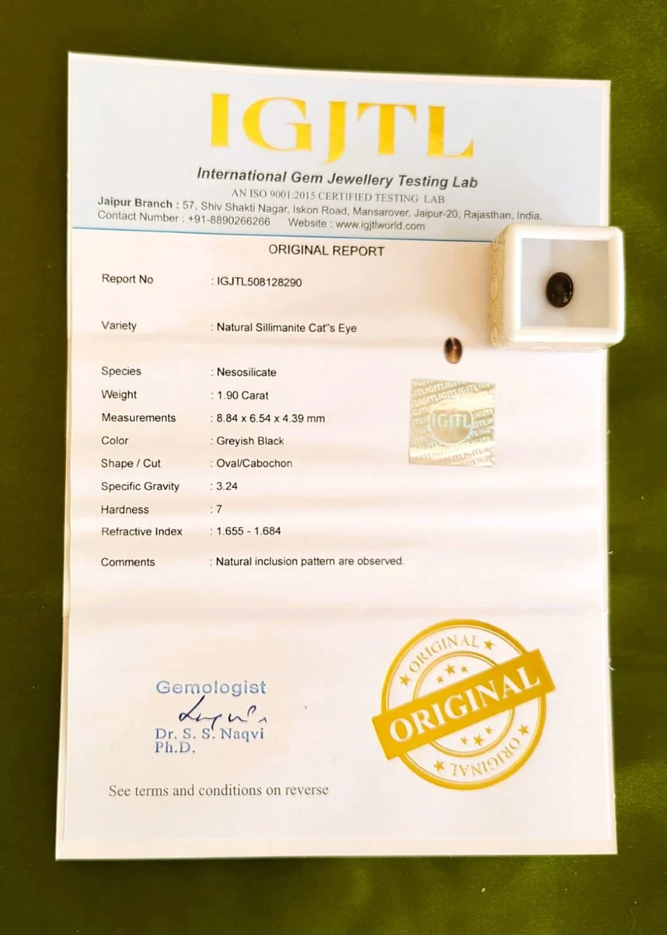 Cat’s Eye Certificate
