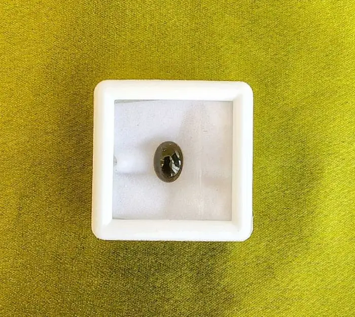 Cat’s Eye (Lahasunia)