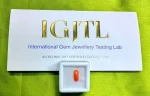 Red Coral