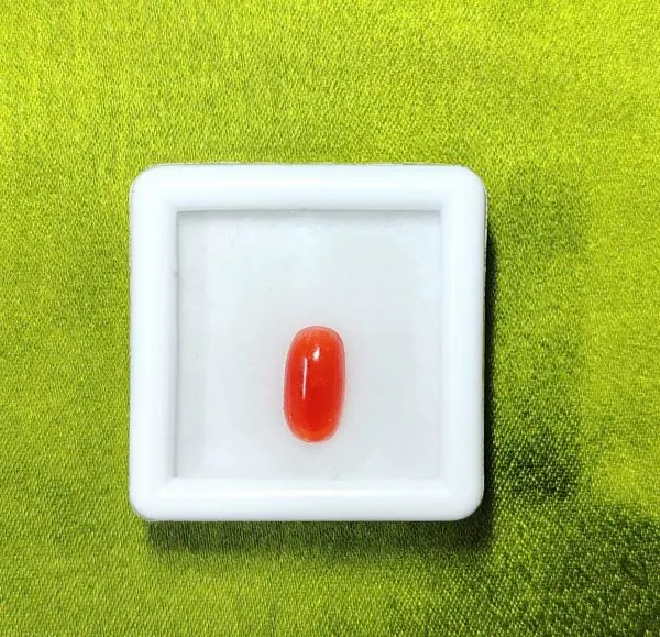 Red Coral