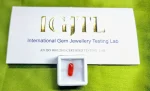 Red Coral