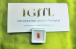 Red Coral