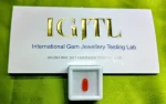 Red Coral