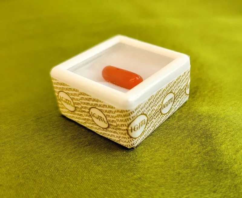 Red Coral