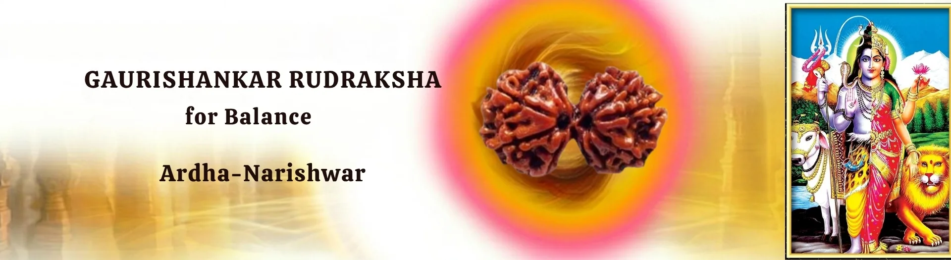 GAURISHANKAR RUDRAKSHA