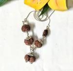 Garbhadhana Rudraksha Mala