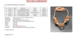 Garbhadhana Rudraksha Mala Certificate