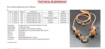 Garbhadhana Rudraksha Mala Certificate