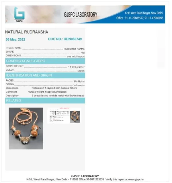 Garbhadhana Rudraksha Mala Certificate