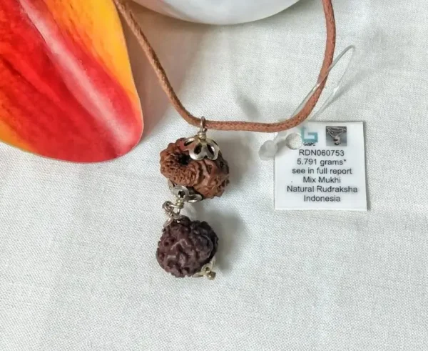Gyan Rudraksha Mala