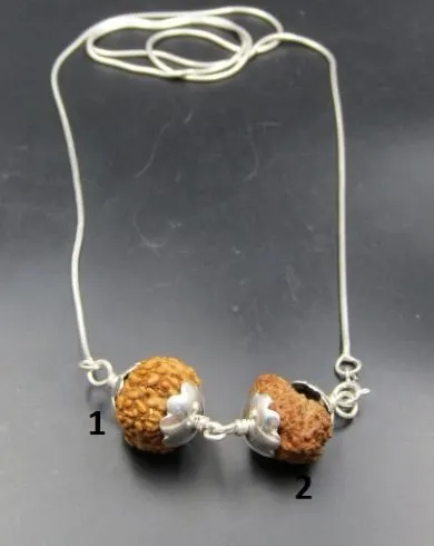 Gyan Rudraksha Mala