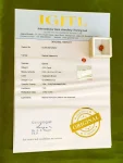 Hessonite (Gomedh) Certificate