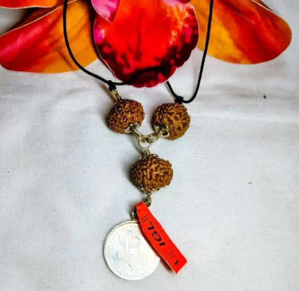 Kalasarpa Rudraksha Mala