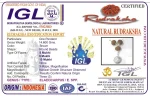 Kalasarpa Rudraksha Mala Certificate