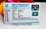 Kalsarpa Certificate