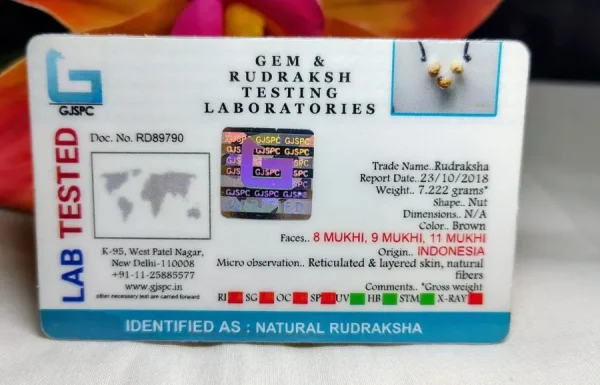 Kalsarpa Certificate