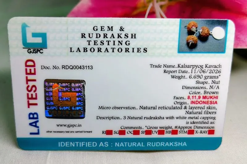 Kalsarpa Certificate