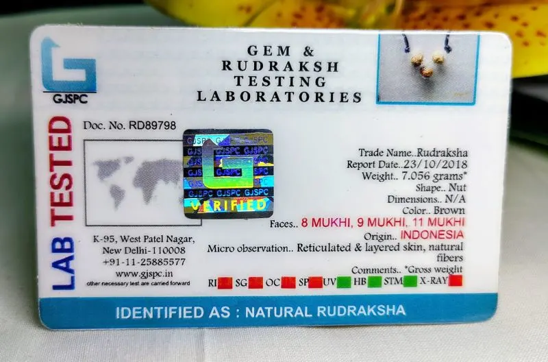 Kalsarpa Certificate