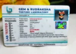 Kalsarpa Certificate