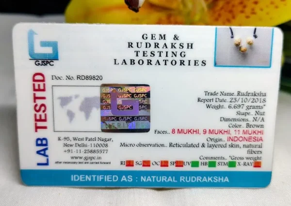 Kalsarpa Certificate
