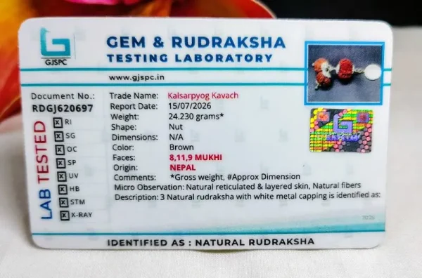 Kalsarpa Certificate