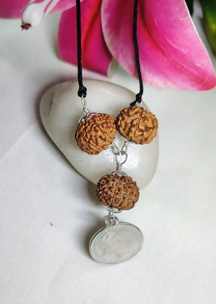 Kalsarpa Rudraksha
