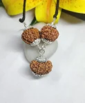 Kalsarpa Rudraksha