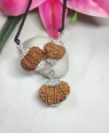 Kalsarpa Rudraksha