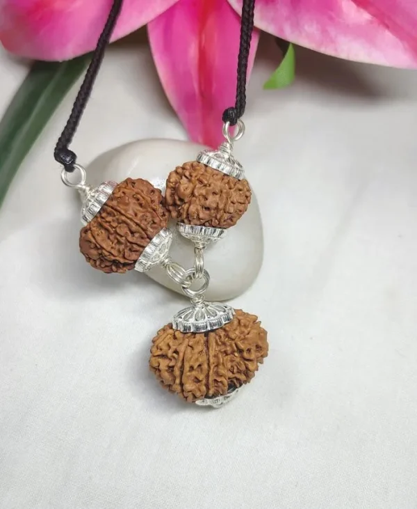 Kalsarpa Rudraksha