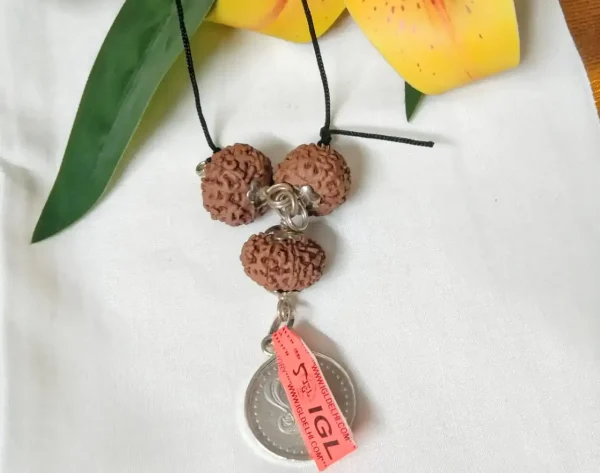 Kalsarpa Rudraksha Mala