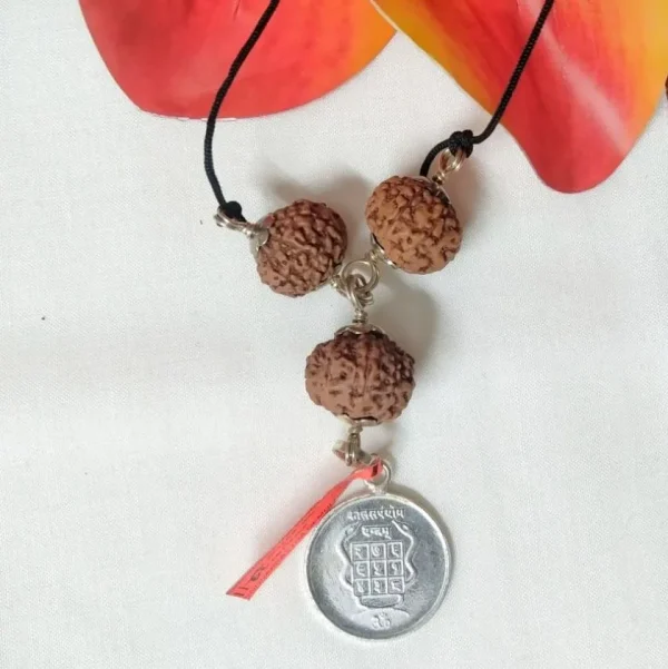 Kalsarpa Rudraksha Mala