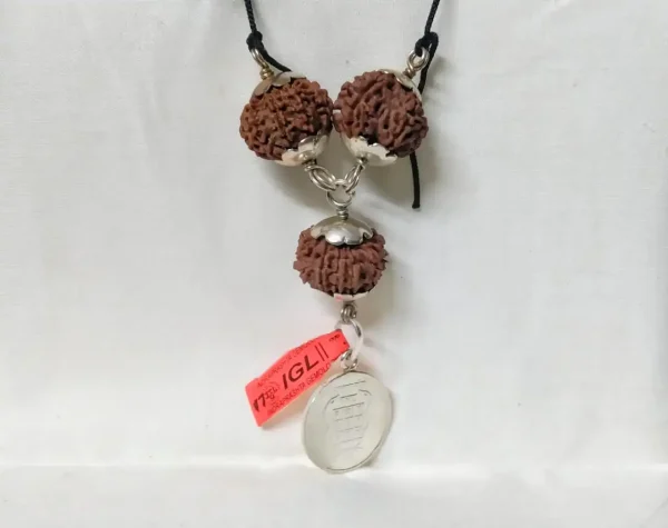 Kalsarpa Rudraksha Mala