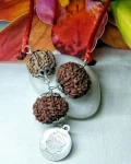 Kalsarpa Rudraksha Mala