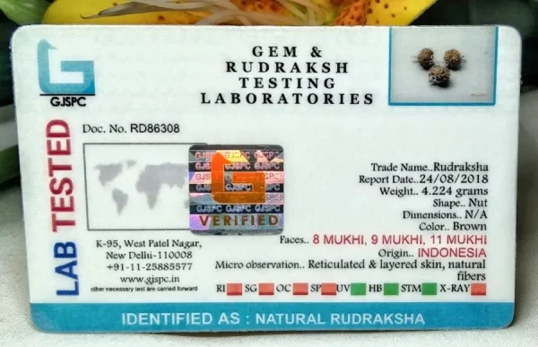 Kalsarpa Rudraksha Mala Certificate