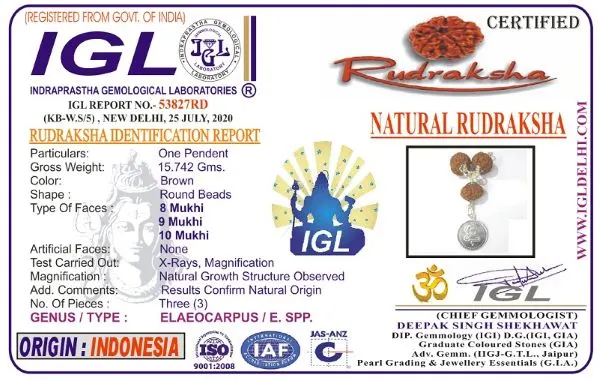 Kalsarpa Rudraksha Mala Certificate