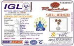 Kalsarpa Rudraksha Mala Certificate