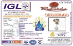 Kalsarpa Rudraksha Mala Certificate