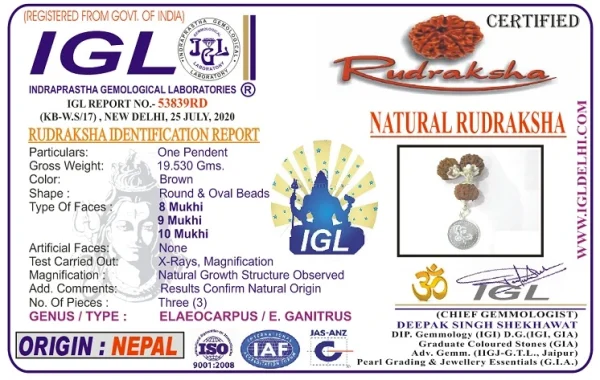 Kalsarpa Rudraksha Mala Certificate