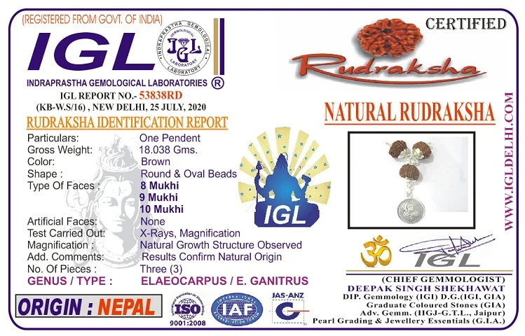 Kalsarpa Rudraksha Mala Certificate