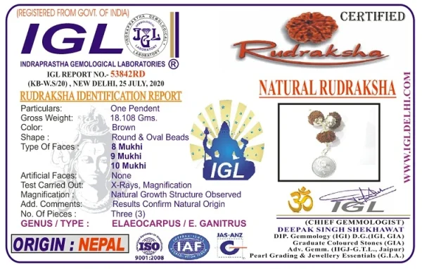 Kalsarpa Rudraksha Mala Certificate