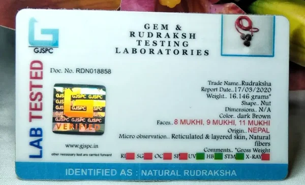 Kalsarpa Rudraksha Mala Certificate