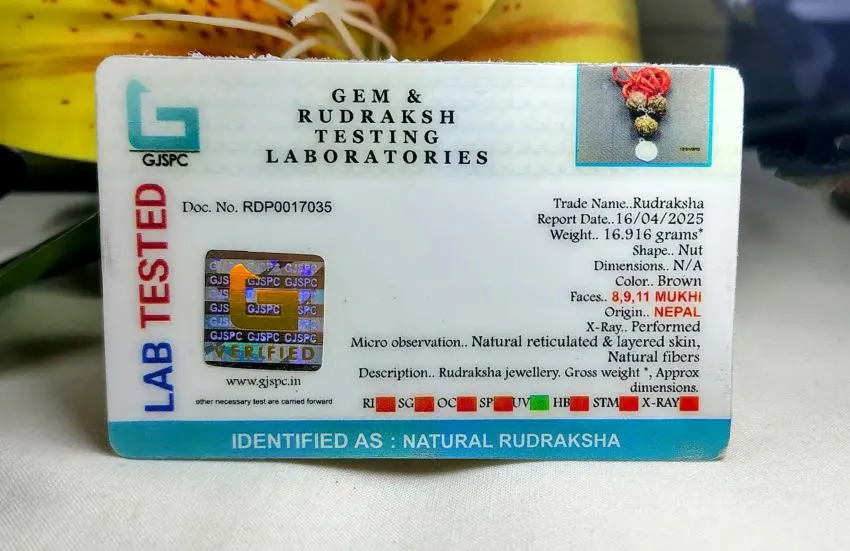Kalsarpa Rudraksha Mala Certificate